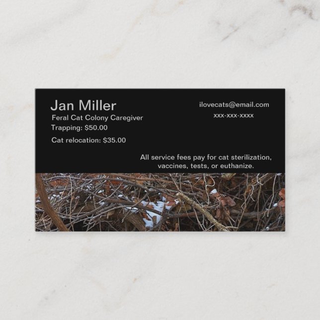Feral Cat Colony Caregiver Business Card (Front)