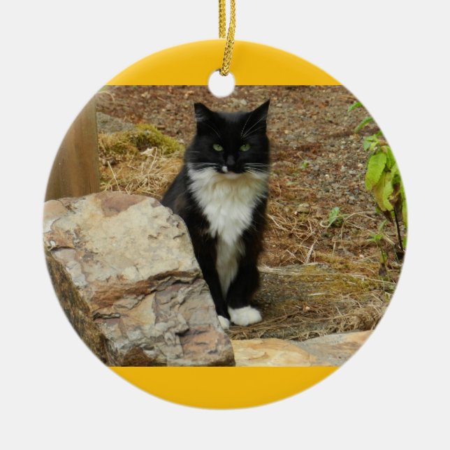 Feral Cat Momma Ceramic Tree Decoration (Front)