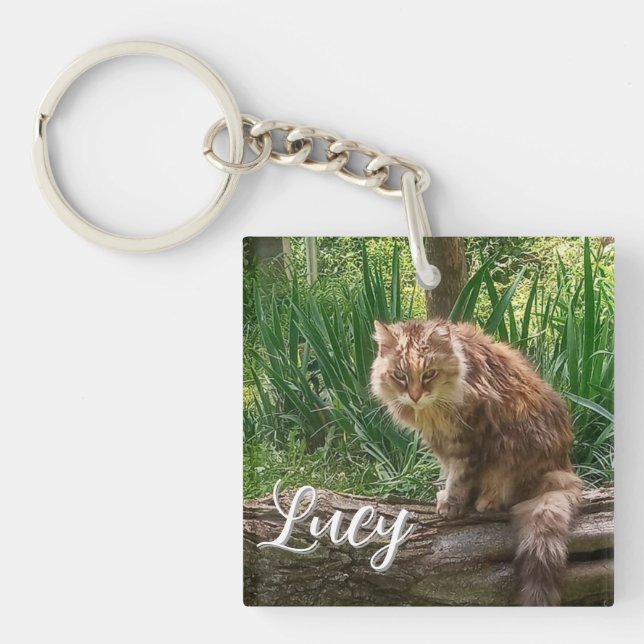 Feral Cat Photo / Cat Lover  Key Ring (Front)