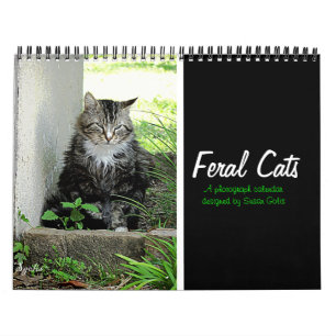 Feral Cat Photograph Calendar