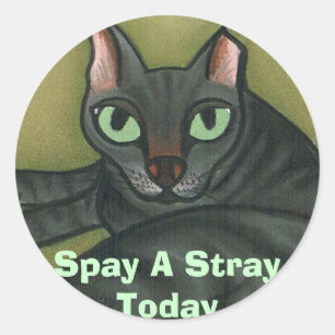 Feral cat, Spay A Stray Today - Customised Classic Round Sticker