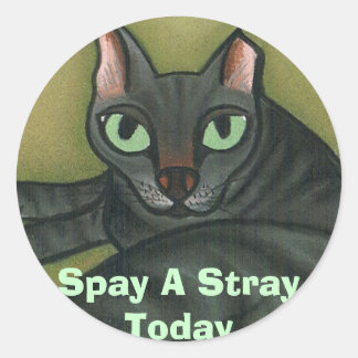 Feral cat, Spay A Stray Today - Customised Classic Round Sticker