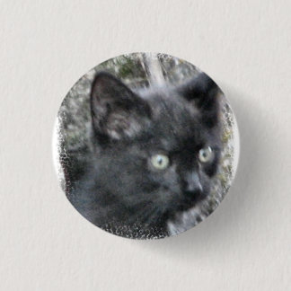 Feral kitten Small button