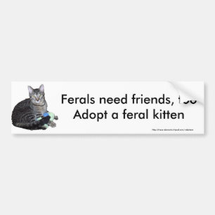 "Ferals need friends" kitten bumper sticker