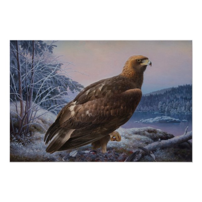 Ferdinand von Wright Golden eagle 1884 CC0313 Poster (Front)