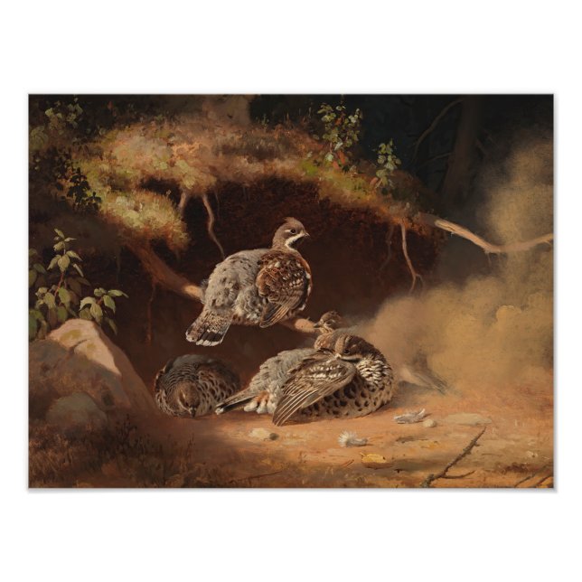 Ferdinand von Wright - Hazel Grouse Wallowing Photo Print (Front)