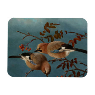 Ferdinand von Wright - Jays Magnet