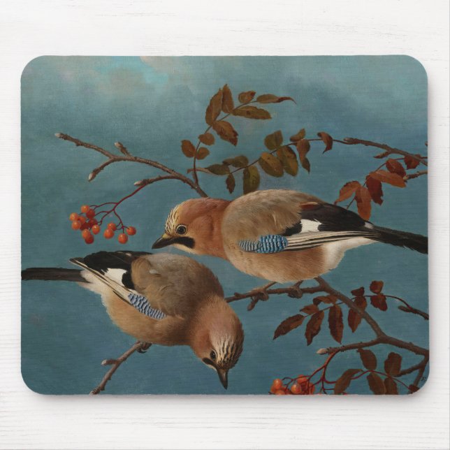 Ferdinand von Wright - Jays Mouse Mat (Front)