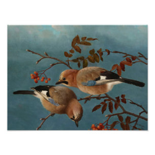 Ferdinand von Wright - Jays Photo Print