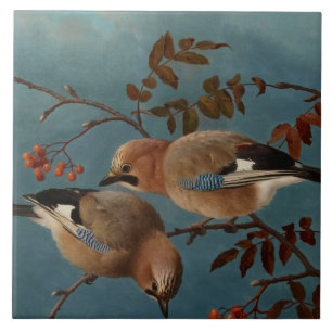 Ferdinand von Wright - Jays Tile