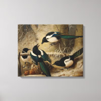 Ferdinand von Wright - Magpies Round a Dead