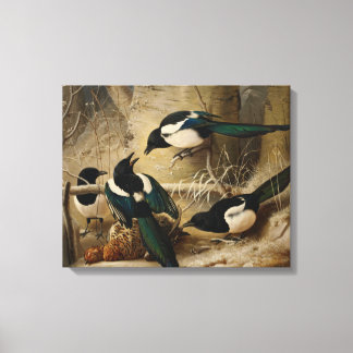 Ferdinand von Wright - Magpies Round a Dead Canvas Print