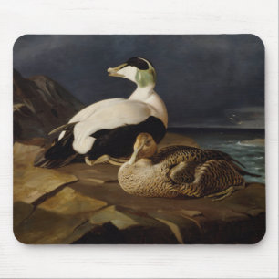 Ferdinand von Wright - Pair Of Common Eiders Mouse Mat