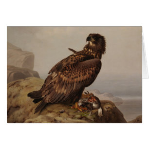 Ferdinand von Wright - White-Tailed Eagle