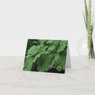 Fern and Raindrops Thank You Card