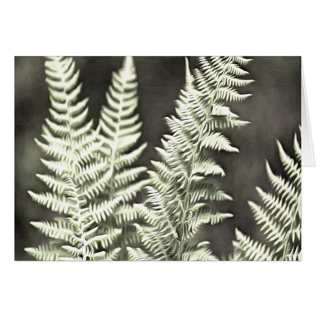 Fern Artistic Abstract (Front Horizontal)
