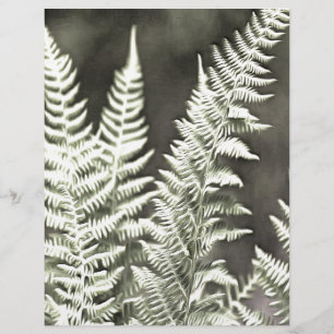 Fern Artistic Abstract