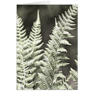 Fern Artistic Abstract