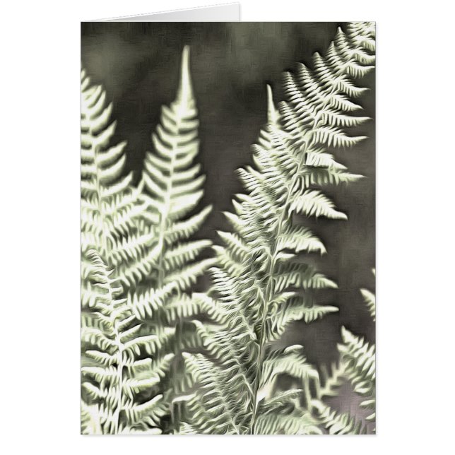 Fern Artistic Abstract (Front)