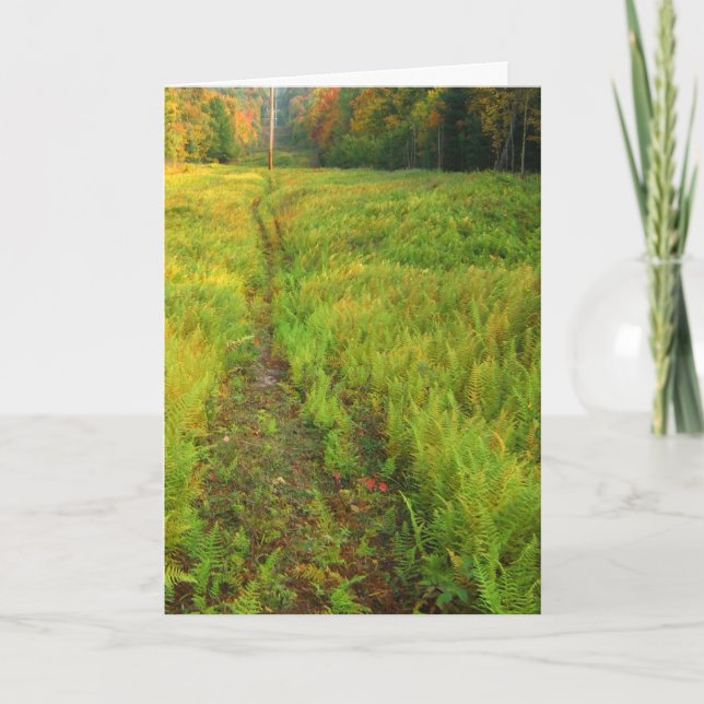 Fern Autumn Landscape Card (Front)