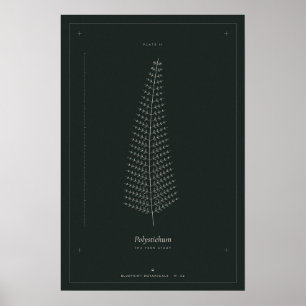 Fern Botanical Line Drawing Poster, Dark Academia Poster