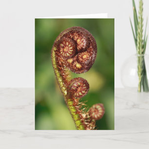 Fern buds card