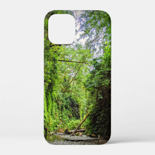 Fern Canyon Green Walls in Redwoods National Park iPhone 12 Mini Case