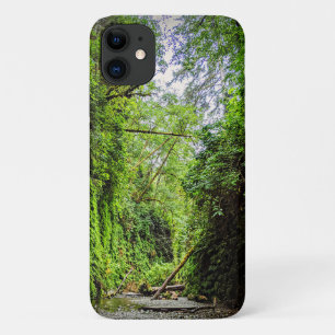Fern Canyon Green Walls in Redwoods National Park iPhone 11 Case