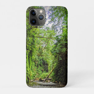 Fern Canyon Green Walls in Redwoods National Park iPhone 11 Pro Case