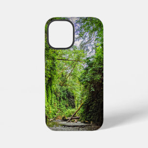 Fern Canyon Green Walls in Redwoods National Park iPhone 12 Mini Case