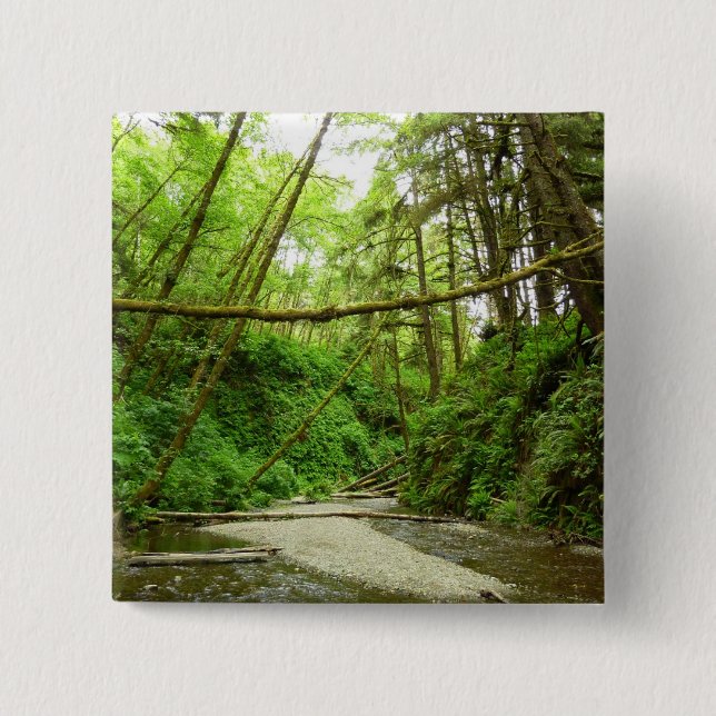 Fern Canyon I at Redwood National Park 15 Cm Square Badge (Front)