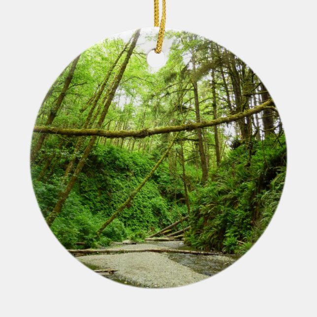 Fern Canyon I at Redwood National Park Ceramic Tree Decoration (Front)