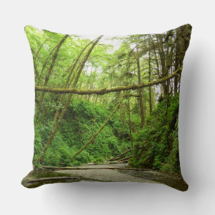 Fern Canyon I at Redwood National Park Cushion