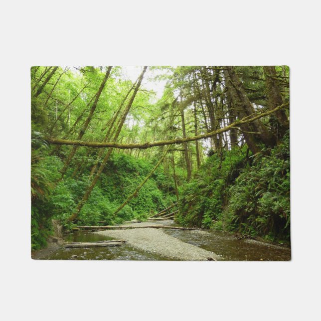 Fern Canyon I at Redwood National Park Doormat (Front)