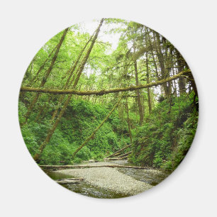 Fern Canyon I at Redwood National Park Magnet