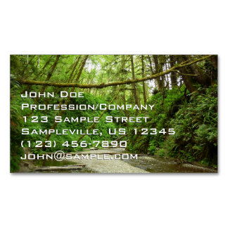 Fern Canyon I at Redwood National Park Magnetic Business Card