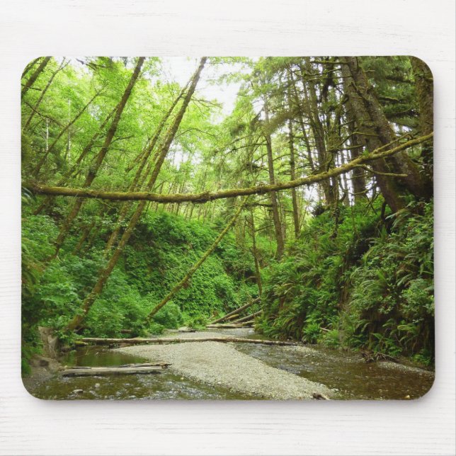 Fern Canyon I at Redwood National Park Mouse Mat (Front)