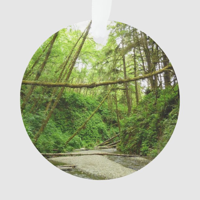 Fern Canyon I at Redwood National Park Ornament (Front)