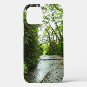Fern Canyon II at Redwood National Park iPhone 12 Case