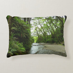 Fern Canyon II at Redwood National Park Decorative Cushion