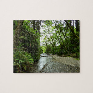 Fern Canyon II at Redwood National Park Jigsaw Puzzle
