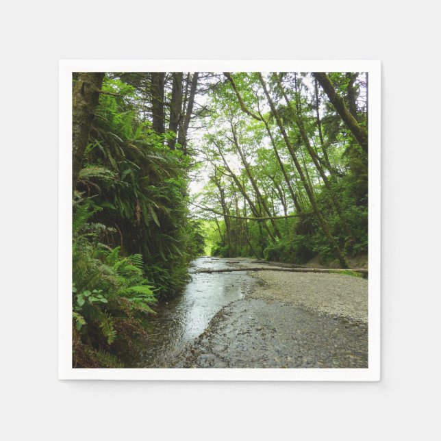Fern Canyon II at Redwood National Park Napkin (Front)