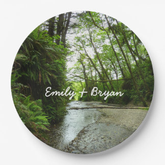Fern Canyon II at Redwood National Park Paper Plate