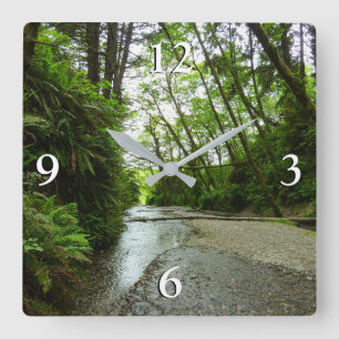 Fern Canyon II at Redwood National Park Square Wall Clock