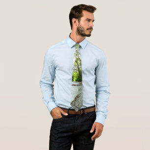 Fern Canyon II at Redwood National Park Tie