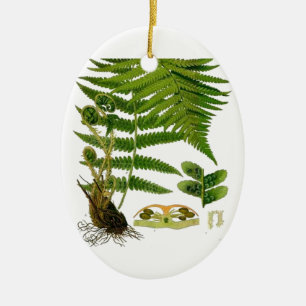 Fern Ceramic Tree Decoration