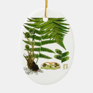 Fern Ceramic Tree Decoration