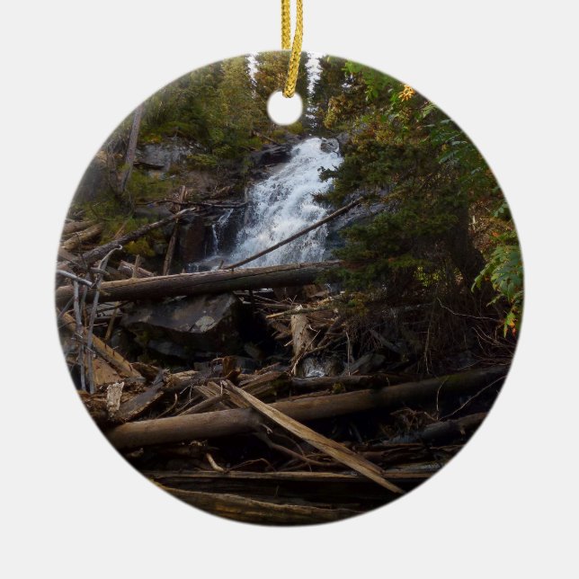 Fern Falls at Rocky Mountain National Park Ceramic Tree Decoration (Front)