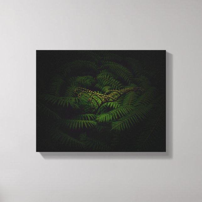Fern Fine Art Photograph Canvas Print (Front)