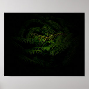 Fern Fine Art Photograph Poster
